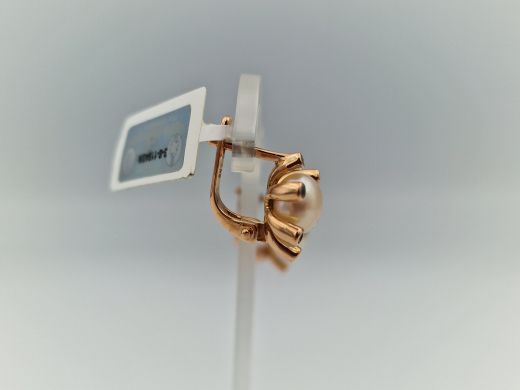 Zelta auskari, 6.19 g