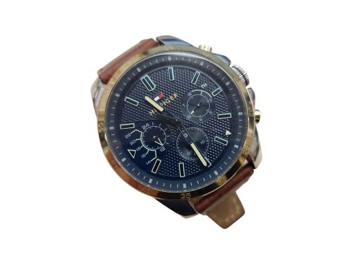 Hilfinger Th3201202507 