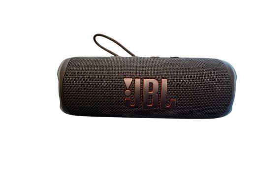 JBL Flip 6 
