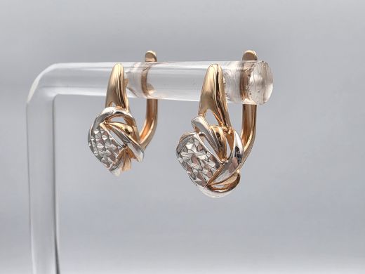 Zelta auskari, 2.48 g