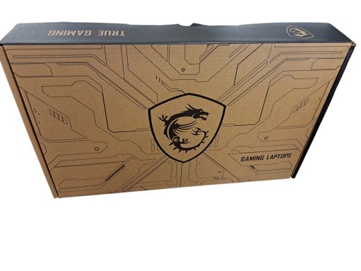 MSI Katana 17 B13VFK 1000