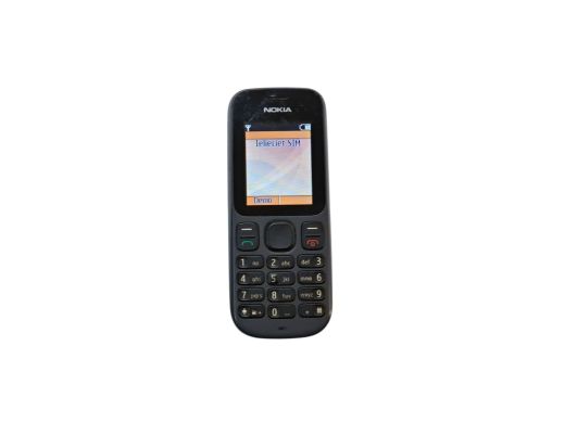 Nokia 100