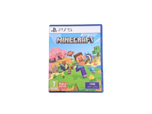 Minecraft PS5