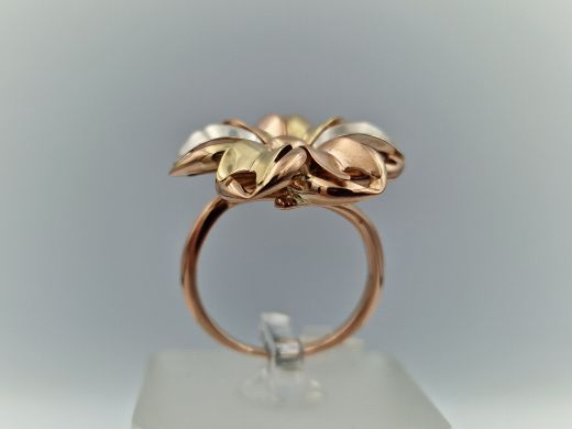 Zelta gredzens, 5.54 g, izm. 18