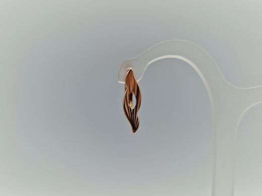 Zelta auskari, 2.42 g