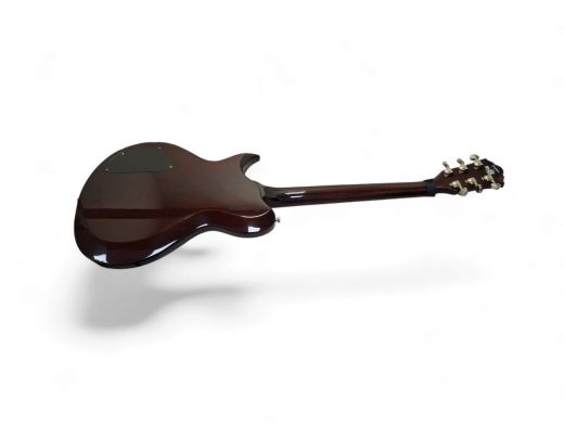 Washburn Hb30
