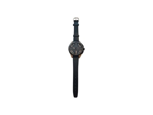 Festina F16831