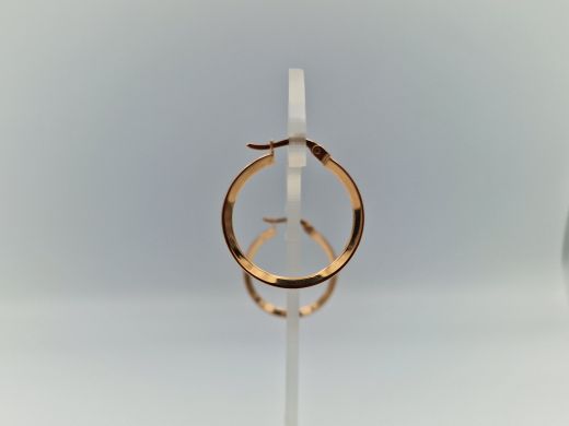 Zelta auskari, 2.28 g