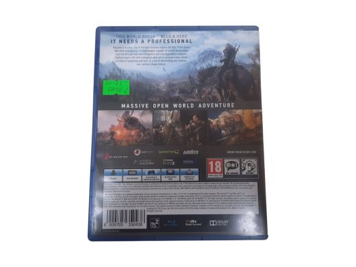 CD Projekt Red The Witcher 3: Wild Hunt 