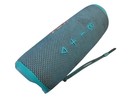 JBL Flip 6