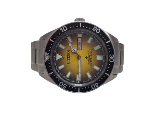Citizen Promaster Marine Automatic NY0120-52X