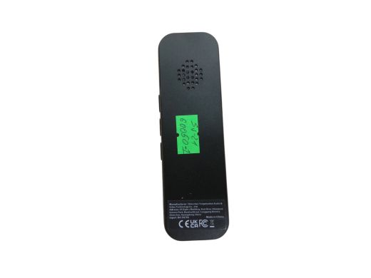 AI Voice Translator G5 Pro