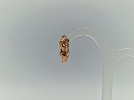 Zelta auskari, 2.25 g