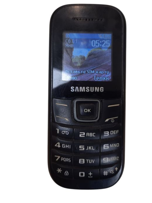 Samsung GT-E1200M 