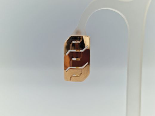 Zelta auskari, 2.53 g