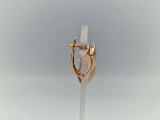 Zelta auskari, 2.72 g