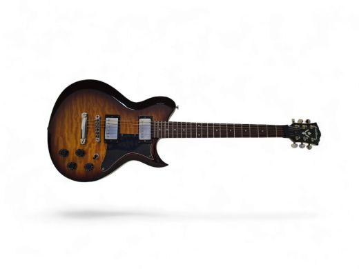 Washburn Hb30