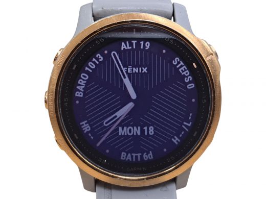 Garmin Fenix 6s