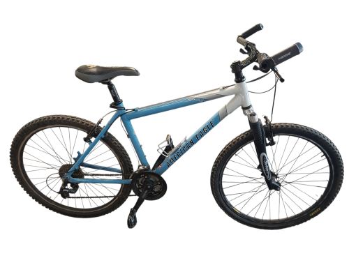 American Eagle Death Valley