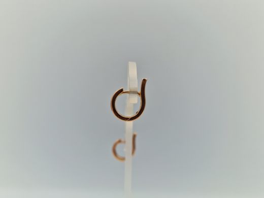 Zelta auskari ar cirkoniju, 3.81 g