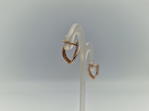 Zelta auskari, 2.51 g