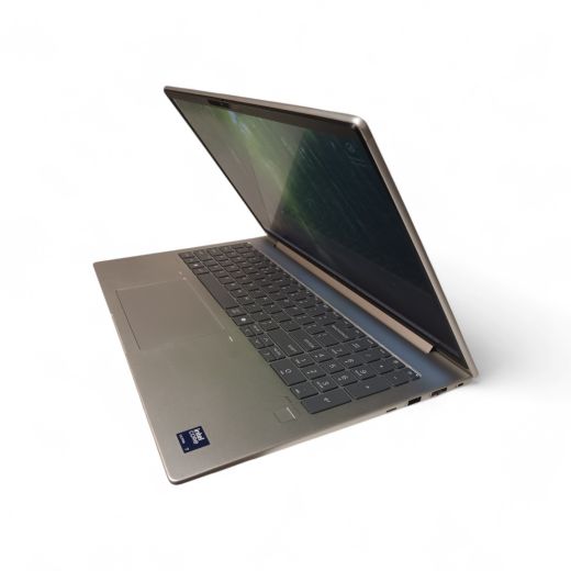 HP EliteBook 660 G11 512 Gb