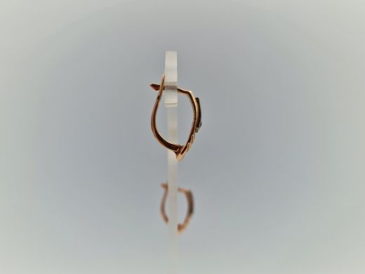 Zelta auskari, 2.98 g