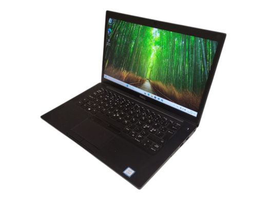 Dell Latitude 7490 256