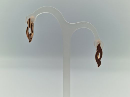 Zelta auskari, 2.43 g