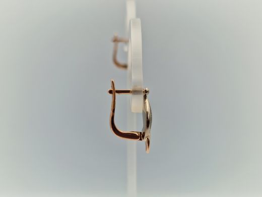 Zelta auskari, 4.02 g