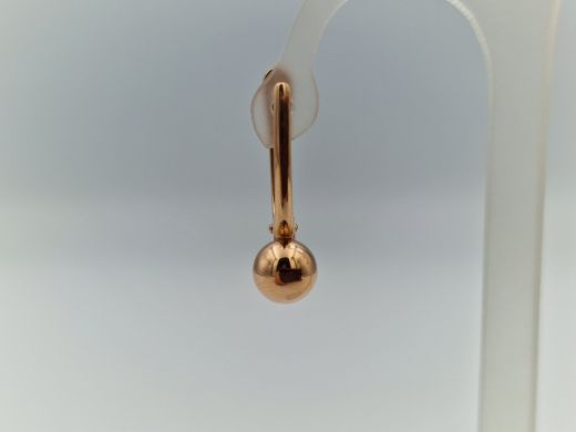 Zelta auskari, 2.54 g