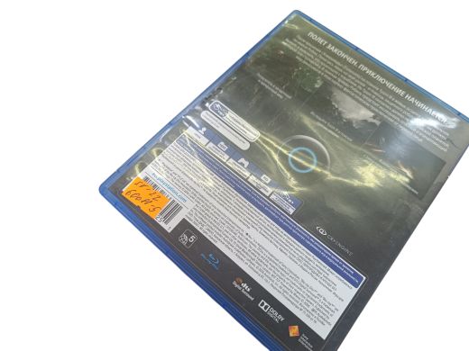 Robinson PS4