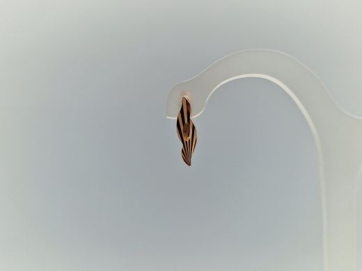 Zelta auskari, 2.42 g