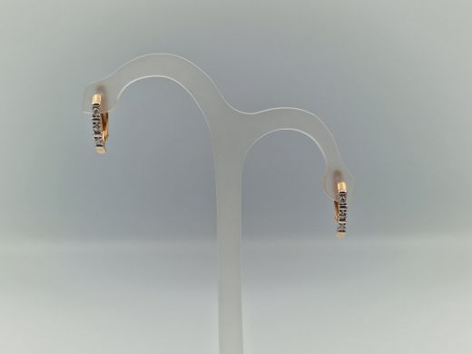 Zelta auskari, 2.48 g