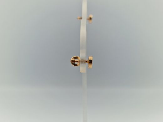 Zelta auskari, 2.44 g