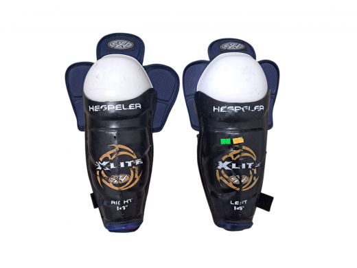 Hespeler Hokeja ceļu sargi 