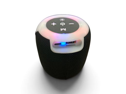 Pepco Bt Speaker