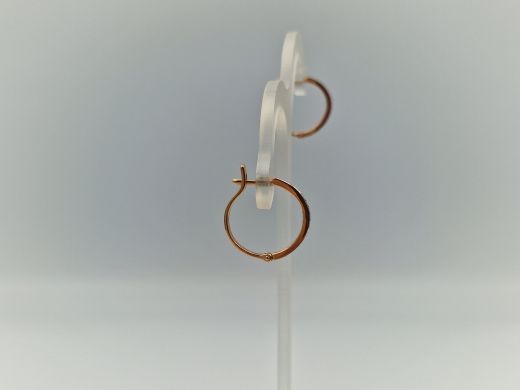 Zelta auskari, 2.6 g