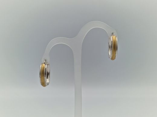 Zelta auskari, 4.87 g