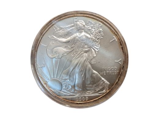 ASV 1 dolars 2009.g.