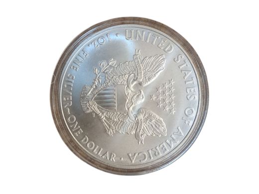 ASV 1 dolars 2009.g.