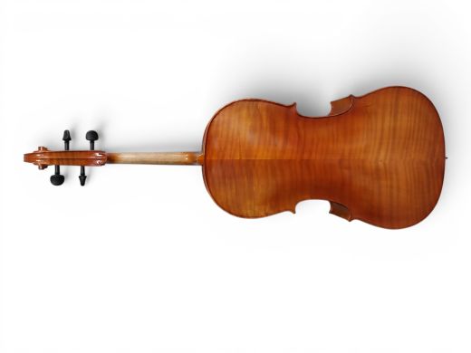 Hidersine Vivente Finetune 4/4