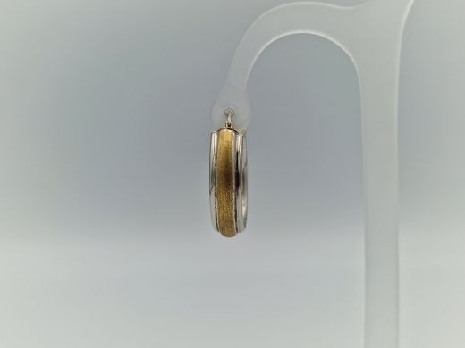 Zelta auskari, 4.87 g