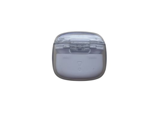 JBL Tune Flex 2