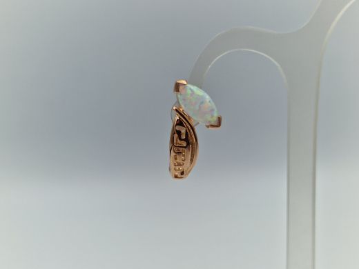 Zelta auskari, 4.86 g