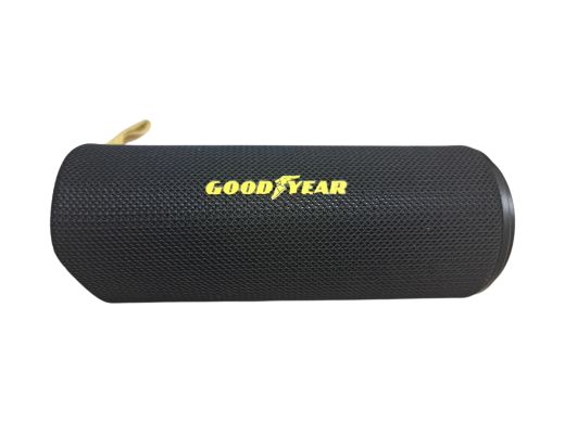 Goog year Speaker