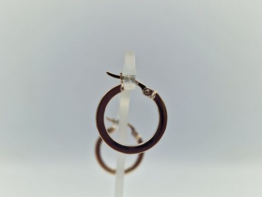 Zelta auskari, 2.51 g