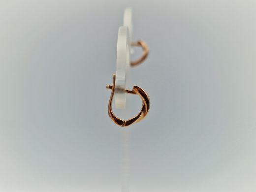 Zelta auskari, 2.63 g