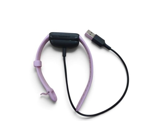 Fitbit