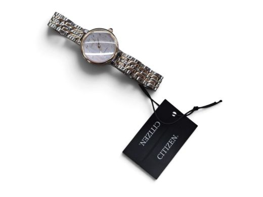 Citizen Em0996-84Y